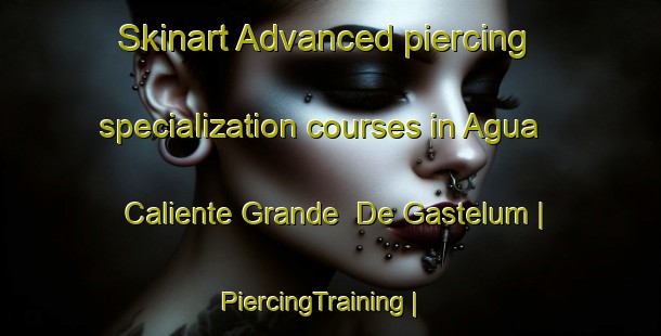 Skinart Advanced piercing specialization courses in Agua Caliente Grande  De Gastelum | PiercingTraining | PiercingClasses | SkinartTraining-Mexico
